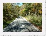 Hilly Road * 1723 x 1278 * (527KB)
